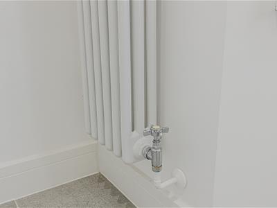 Picture 47